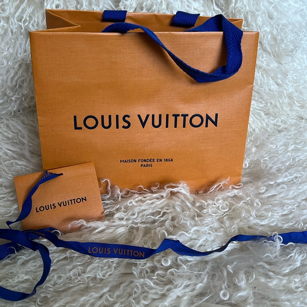 Louis Vuitton Paper Bag